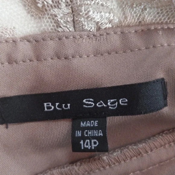 Blu Sage Taupe Lace Overlay Floral Sleeveless Double V Midi Slip Dress Sz 14P - Picture 8 of 8